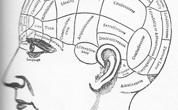 brains