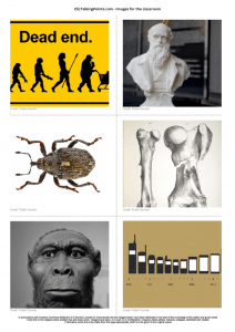 Evolution – ESL Conversation Questions and Speaking Activities