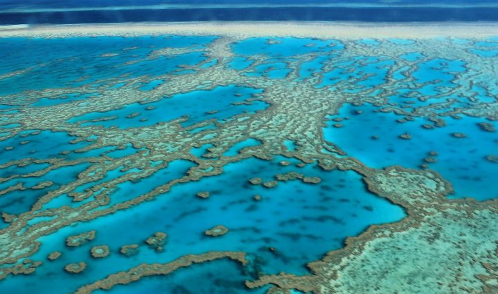 great barrier reef